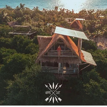 Hippie Chit Jungle House