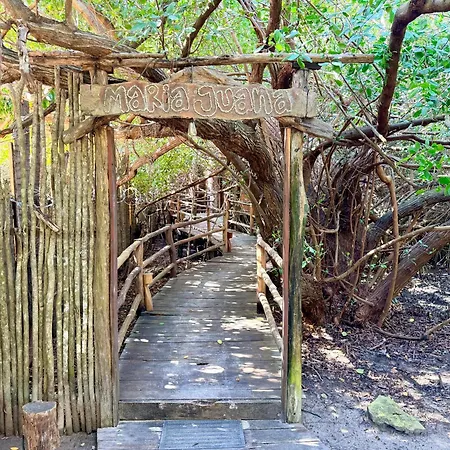 Alma Libre Hotel Tulum